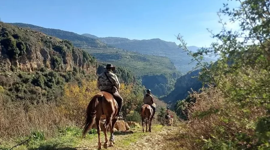 Horse Riding (Nassim Olabi)